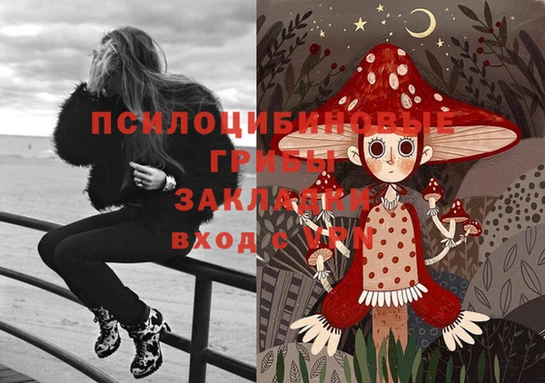 винт Гусь-Хрустальный