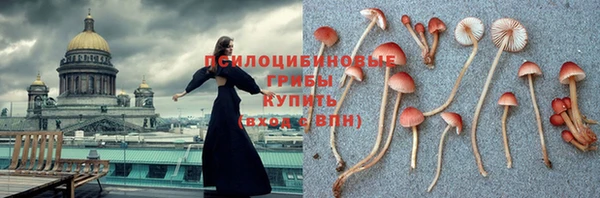 метадон Дмитриев